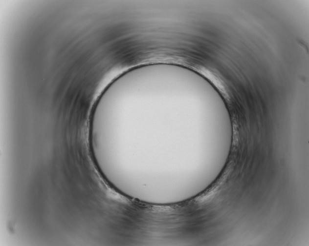 X0000091541094200708171005