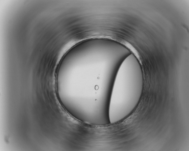 X0000091541096200708171005
