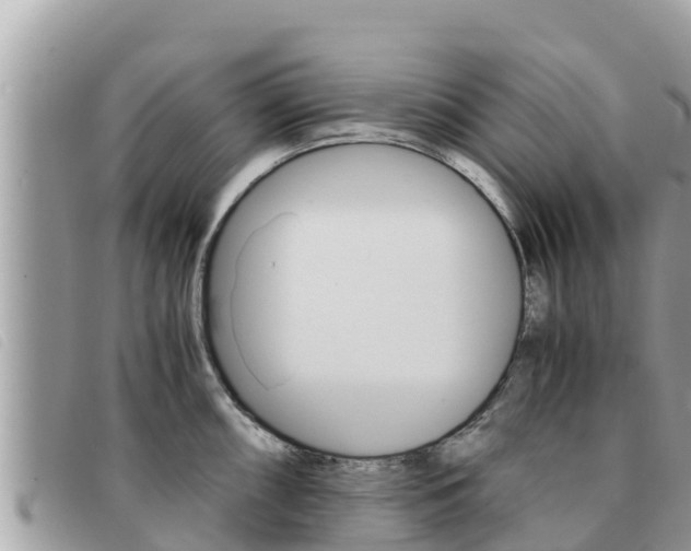 X0000091541098200708171005