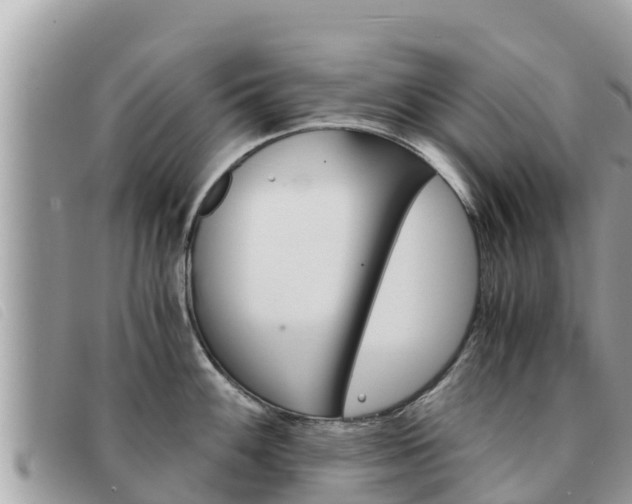 X0000091541100200708171005
