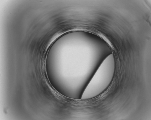 X0000091541101200708171005
