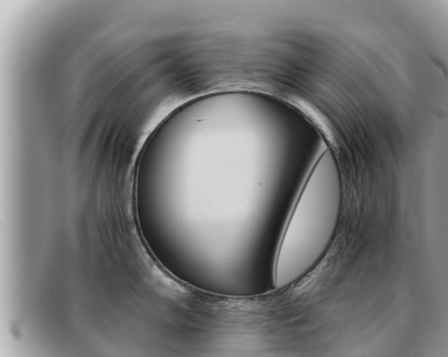 X0000091541102200708171005