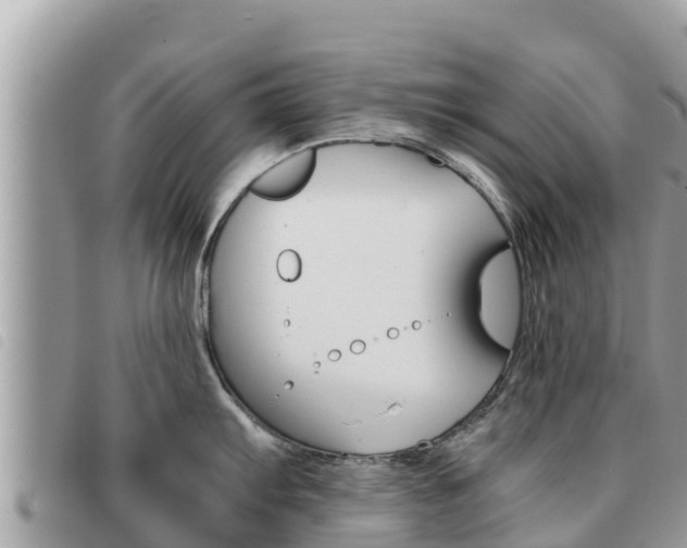 X0000091541103200708171005