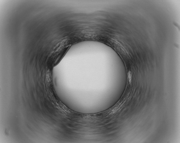 X0000091541107200708171004