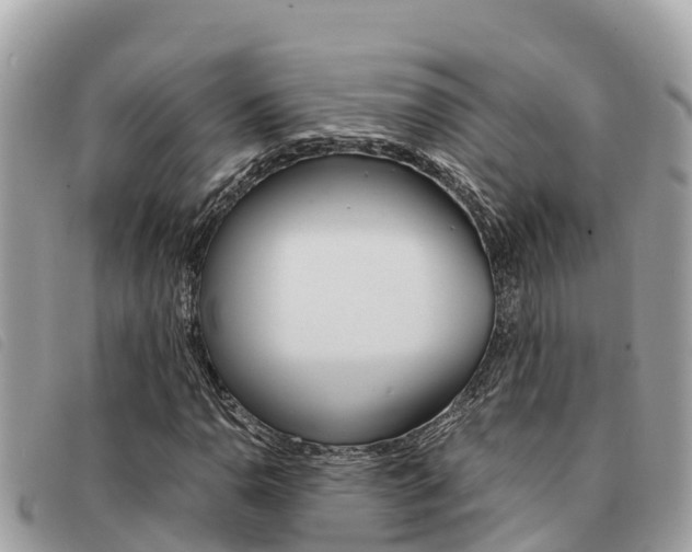 X0000091541110200708171004
