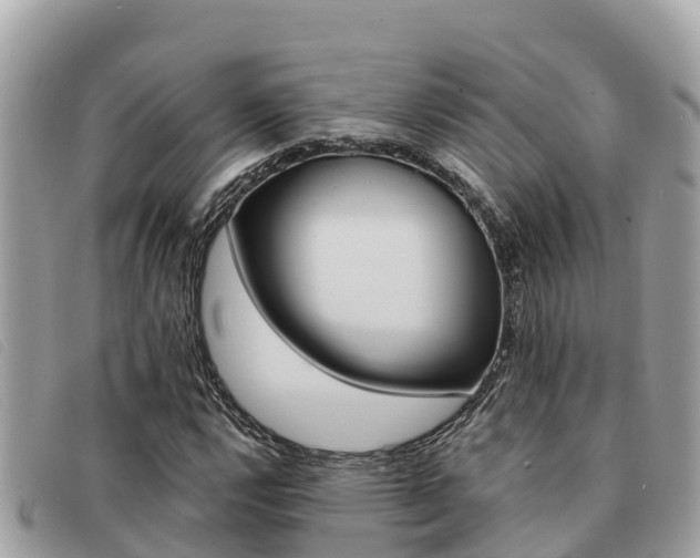 X0000091541112200708171004