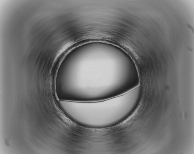 X0000091541114200708171004
