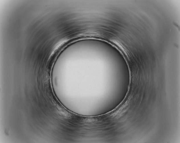 X0000091541115200708171004