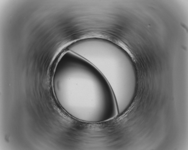 X0000091541116200708171004