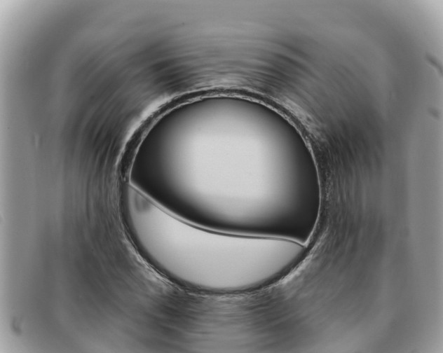 X0000091541118200708171004