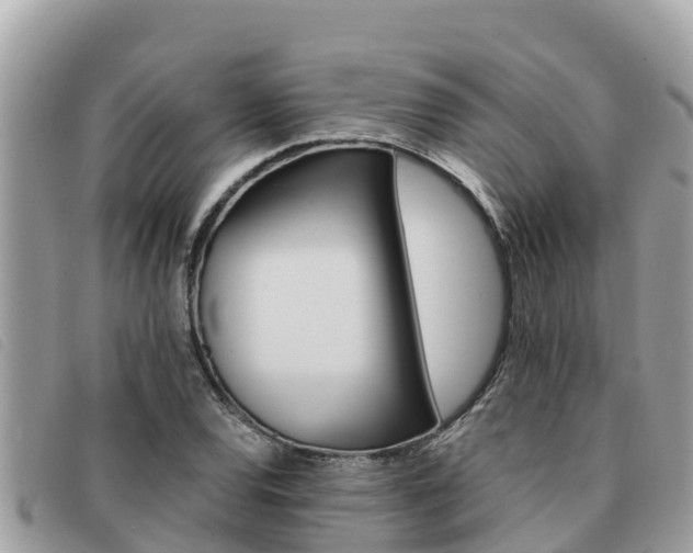 X0000091541120200708171004