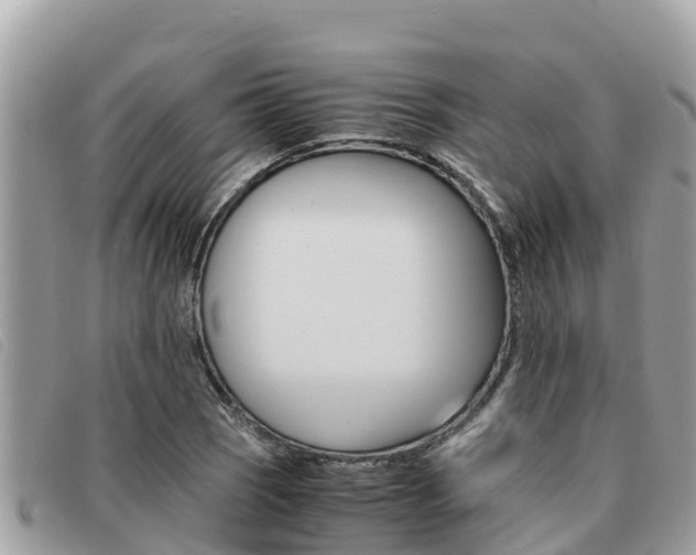 X0000091541121200708171004