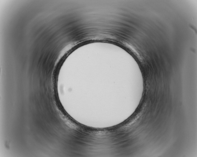 X0000091541122200708171004