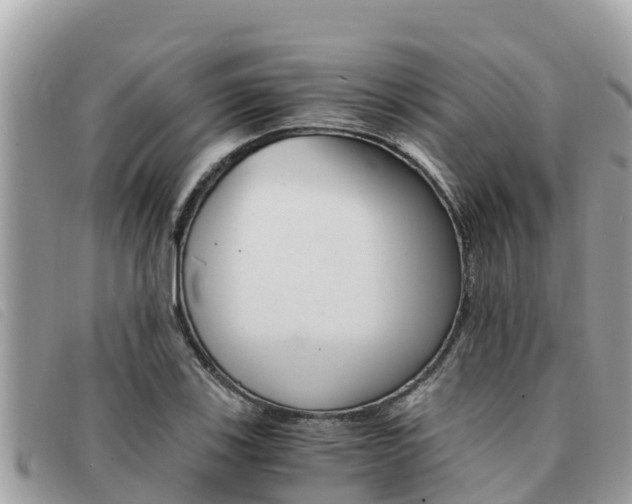 X0000091541123200708171004