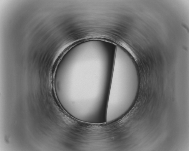 X0000091541124200708171004