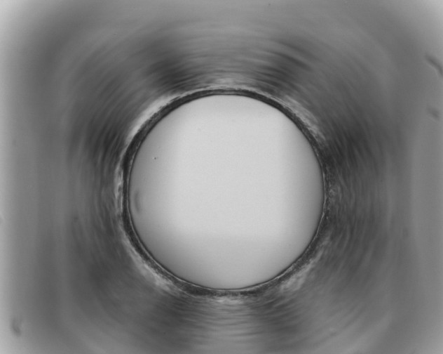X0000091541126200708171004