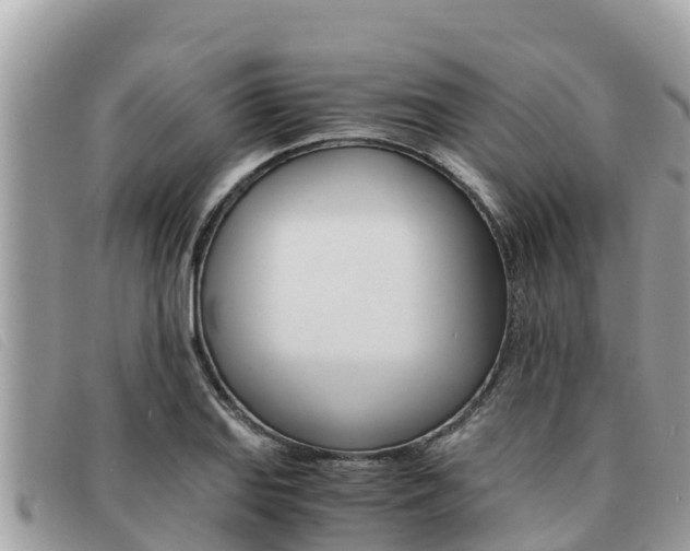 X0000091541127200708171004