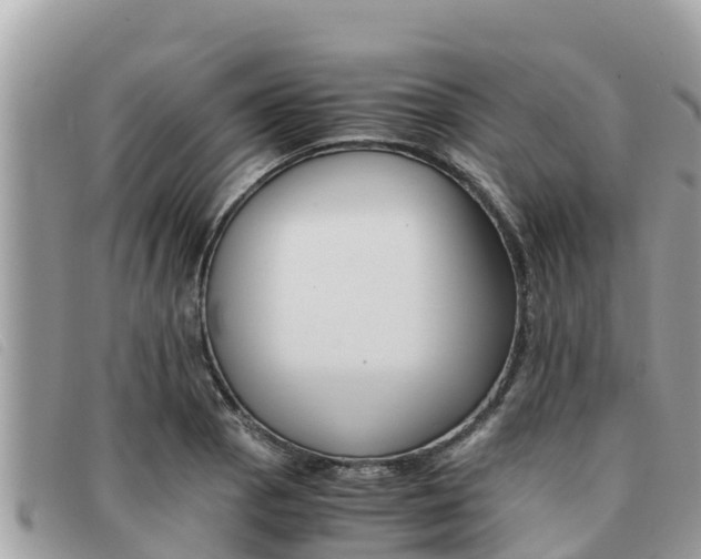 X0000091541129200708171004