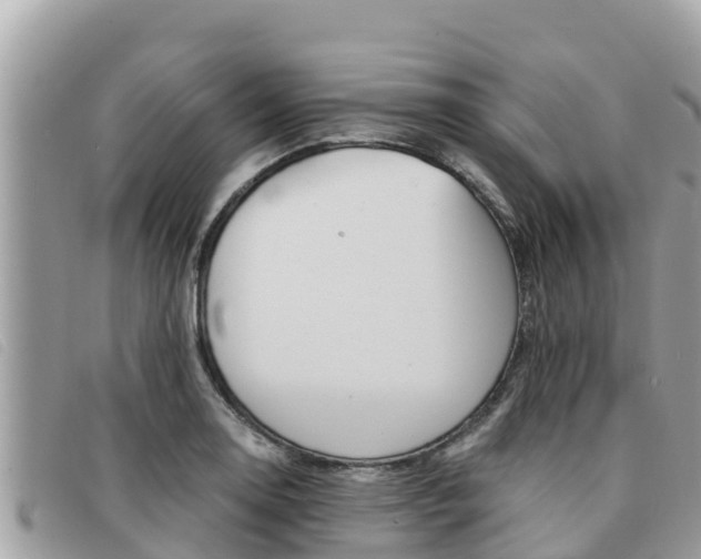 X0000091541130200708171004