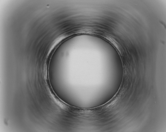 X0000091541131200708171004