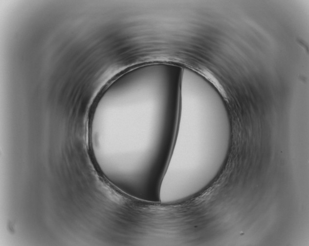 X0000091541132200708171004