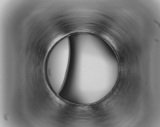 X0000091541133200708171004