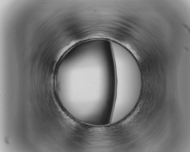 X0000091541134200708171004