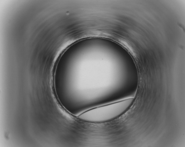 X0000091541136200708171004