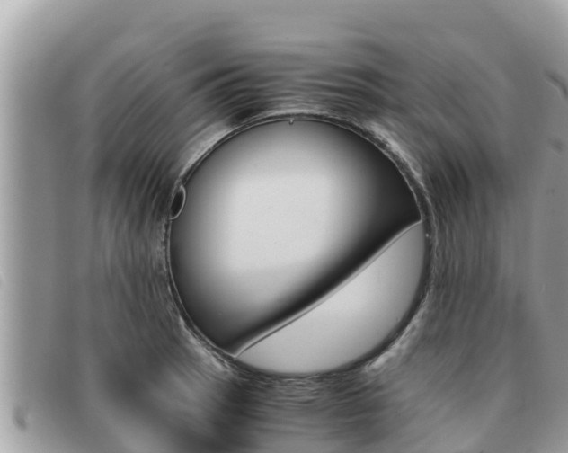 X0000091541137200708171004