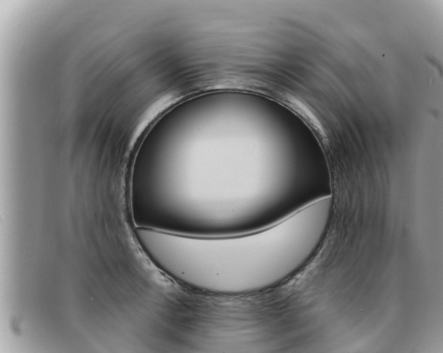 X0000091541138200708171004