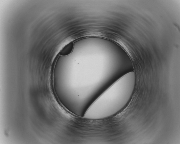 X0000091541139200708171005