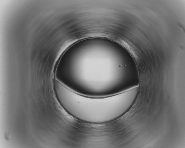 X0000091541140200708171005