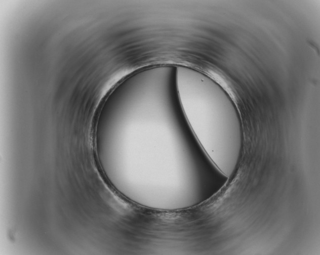 X0000091541141200708171005