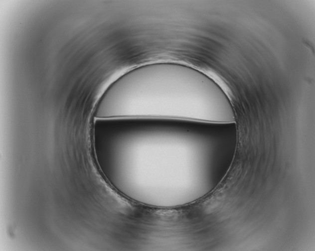 X0000091541142200708171005