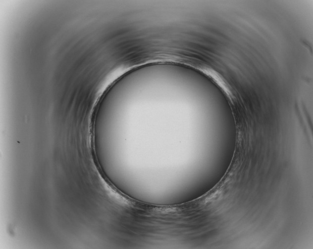 X0000091541143200708171005