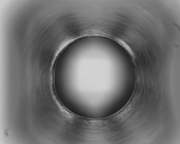 X0000091541144200708171005