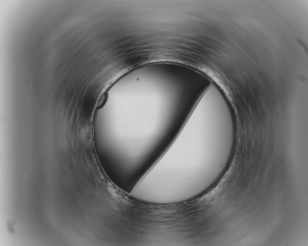X0000091541145200708171005