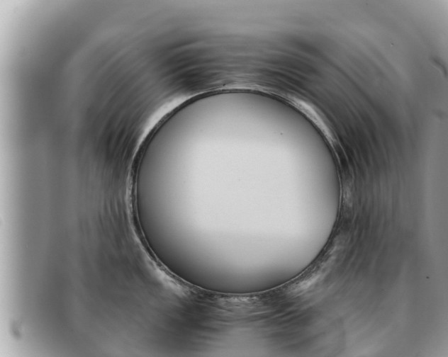 X0000091541149200708171005