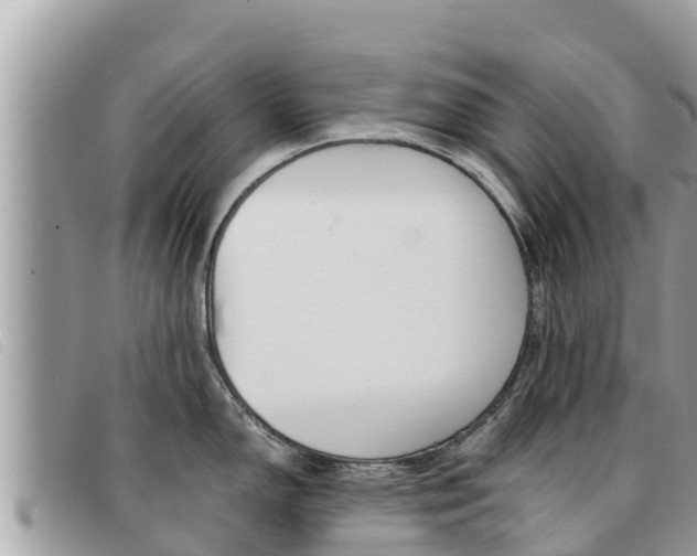 X0000091541150200708171005