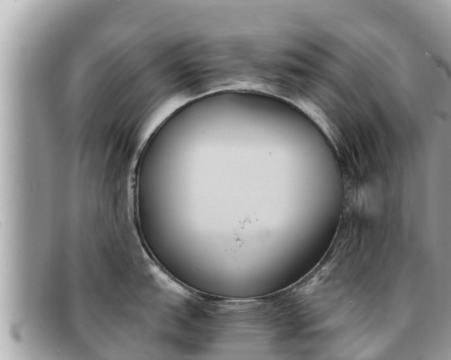 X0000091541151200708171005