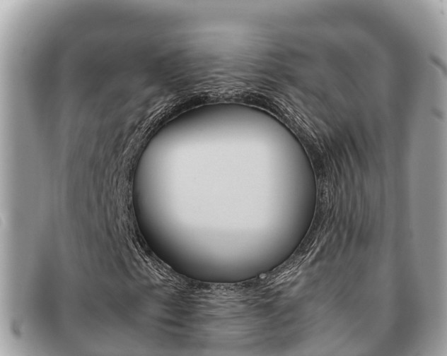 X0000091541153200708171004