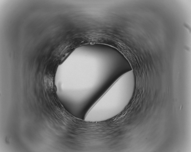X0000091541155200708171004