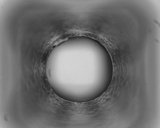 X0000091541157200708171004