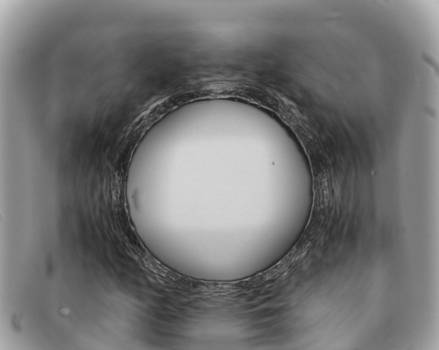 X0000091541158200708171004