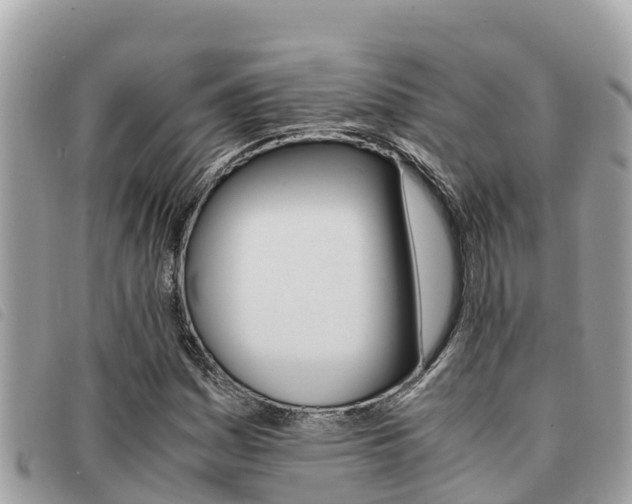 X0000091541161200708171004