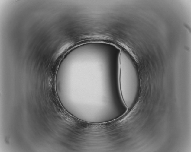 X0000091541163200708171004