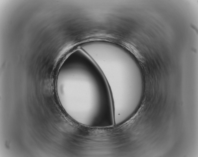 X0000091541164200708171004