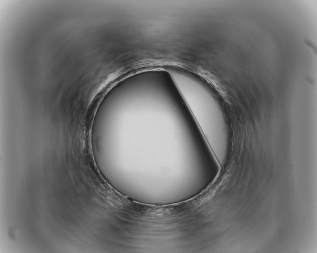 X0000091541165200708171004