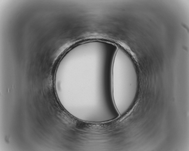 X0000091541167200708171004