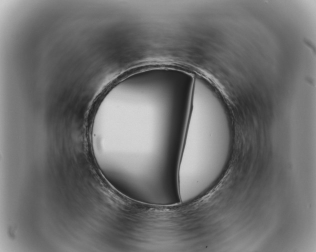 X0000091541168200708171004